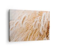 Cuadro Sobre Lienzo 70x50cm Cuadros Pared Hierba Boho Luz Wall Art Prints Decor