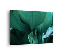 Cuadro Sobre Lienzo 70x50cm Cuadros Pared Hojas Palmeras Plátano Wall Art Prints