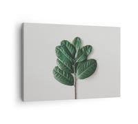 Cuadro Sobre Lienzo 70x50cm Cuadros Pared Hojas Planta Botánica Wall Art Prints