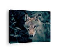 Cuadro Sobre Lienzo 70x50cm Cuadros Pared lobo bosque depredador Wall Art Prints