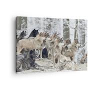 Cuadro Sobre Lienzo 70x50cm Cuadros Pared Manada Lobos Invierno Wall Art Prints