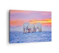 Cuadro Sobre Lienzo 70x50cm Cuadros Pared Osos Invierno Nieve familia Wall Art