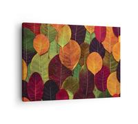 Cuadro Sobre Lienzo 70x50cm Cuadros Pared Otoño Hojas Gráficos Wall Art Prints