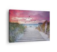 Cuadro Sobre Lienzo 70x50cm Cuadros Pared Playa Arena Aves Wall Art Prints Decor
