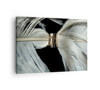 Cuadro Sobre Lienzo 70x50cm Cuadros Pared Pluma Romántico Matrimonio Wall Art