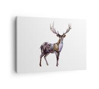 Cuadro Sobre Lienzo 70x50cm Cuadros Pared Querido Animal Salvaje Bosque Wall Art