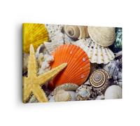 Cuadro Sobre Lienzo 70x50cm Cuadros Pared Seashell mar playa arena Wall Art