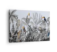 Cuadro Sobre Lienzo 70x50cm Cuadros Pared Selva Animales Tucanes Wall Art Prints