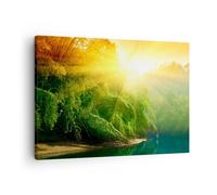 Cuadro Sobre Lienzo 70x50cm Cuadros Pared Trópicos árboles río Wall Art Prints