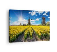 Cuadro Sobre Lienzo 70x50cm Cuadros Tulipanes molino de viento pradera paisaje