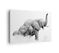 Cuadro sobre Lienzo 70x50cm Moderno Horizontal África Blanco y Negro - 4374