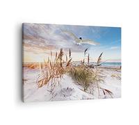 ARTTOR Lienzos decorativos Gaviota Mar Costa Cuadro Sobre Lienzo Moderno 70x50cm Cuadros Decoracion Salon Dormitorio Cocina Cuadros Pared Imágenes Wall Art Prints Decor Canvas AA70x50-4902
