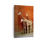 Cuadro Sobre Lienzo 80x120cm Cuadros Animales jirafas zoológico familia Wall Art