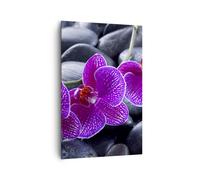 Cuadro Sobre Lienzo 80x120cm Cuadros Flores Piedras Violeta Aromaterapia Art