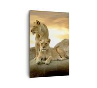 Cuadro Sobre Lienzo 80x120cm Cuadros Leones puesta de sol rocas garras Wall Art