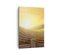 Cuadro Sobre Lienzo 80x120cm Cuadros Mañana granja campo plantación Wall Art