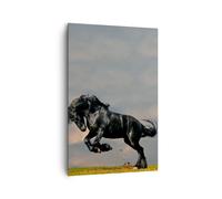 Cuadro Sobre Lienzo 80x120cm Cuadros Nube caballo prado naturaleza Wall Art