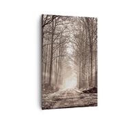 Cuadro Sobre Lienzo 80x120cm Cuadros Pared bosque camino arbol Wall Art Prints