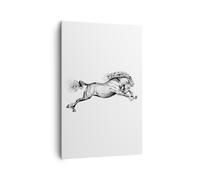 Cuadro Sobre Lienzo 80x120cm Cuadros Pared Caballo Dibujo Lápiz Wall Art Prints