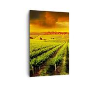 Cuadro Sobre Lienzo 80x120cm Cuadros Pared Campo viñedo plantación Wall Art