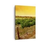 Cuadro Sobre Lienzo 80x120cm Cuadros Pared Campo Viñedo Puesta de sol Wall Art