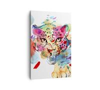 Cuadro Sobre Lienzo 80x120cm Cuadros Pared color concepto gato Wall Art Prints