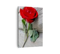 Cuadro Sobre Lienzo 80x120cm Cuadros Pared Flor madera planta Wall Art Prints