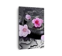 Cuadro Sobre Lienzo 80x120cm Cuadros Pared Flores piedras gotas spa Wall Art