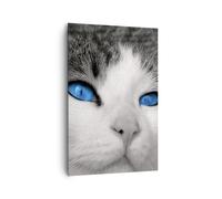 Cuadro Sobre Lienzo 80x120cm Cuadros Pared Gato animales ojos azules Wall Art