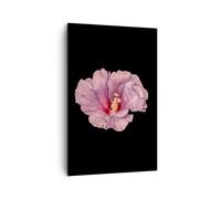 Cuadro Sobre Lienzo 80x120cm Cuadros Pared Hibisco Flor Rosa Wall Art Prints