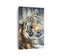 Cuadro Sobre Lienzo 80x120cm Cuadros Pared India piedra tigre salvaje Wall Art
