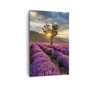Cuadro Sobre Lienzo 80x120cm Cuadros Pared lavanda montañas campo Wall Art