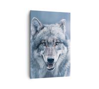 Cuadro Sobre Lienzo 80x120cm Cuadros Pared lobo depredador salvajismo Wall Art