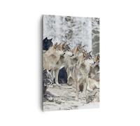 Cuadro Sobre Lienzo 80x120cm Cuadros Pared Manada Lobos Invierno Wall Art Prints