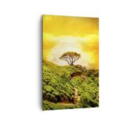 Cuadro Sobre Lienzo 80x120cm Cuadros Pared Montaña árbol camino colina Wall Art