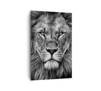 Cuadro Sobre Lienzo 80x120cm Cuadros Pared Retrato León Blanco Y Negro Wall Art
