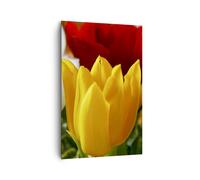Cuadro Sobre Lienzo 80x120cm Cuadros Pared Tulipanes florero ramo Wall Art