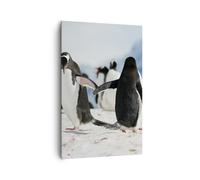 Cuadro Sobre Lienzo 80x120cm Cuadros Pingüinos Invierno naturaleza nieve Art