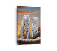 Cuadro Sobre Lienzo 80x120cm Cuadros Tigres blanco roca puesta del sol Wall Art