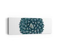 Cuadro Sobre Lienzo 90x30cm Cuadros Pared Agave Reina Victoria Wall Art Prints