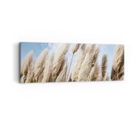 Cuadro Sobre Lienzo 90x30cm Cuadros Pared Caña Cielo Boho Wall Art Prints Decor