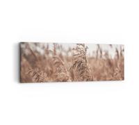 Cuadro Sobre Lienzo 90x30cm Cuadros Pared Caña Prado Boho Wall Art Prints Decor