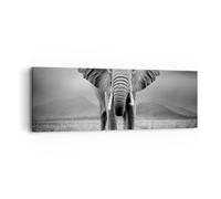 Cuadro Sobre Lienzo 90x30cm Cuadros Pared Elefante Salvaje Naturaleza Wall Art