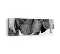 Cuadro Sobre Lienzo 90x30cm Cuadros Pared Elefantes Safari Bond Wall Art Prints
