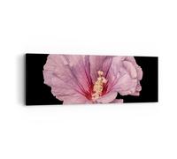 Cuadro Sobre Lienzo 90x30cm Cuadros Pared Hibisco Flor Rosa Wall Art Prints