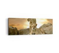 Cuadro Sobre Lienzo 90x30cm Cuadros Pared Leones puesta de sol rocas garras Art