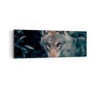 Cuadro Sobre Lienzo 90x30cm Cuadros Pared lobo bosque depredador Wall Art Prints