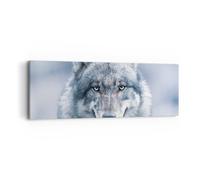 Cuadro Sobre Lienzo 90x30cm Cuadros Pared lobo depredador salvajismo Wall Art