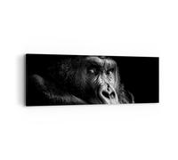 Cuadro Sobre Lienzo 90x30cm Cuadros Pared Mono Gorila Retrato Wall Art Prints