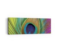 Cuadro Sobre Lienzo 90x30cm Cuadros Pared Pavos Reales Pluma Arco Iris Wall Art